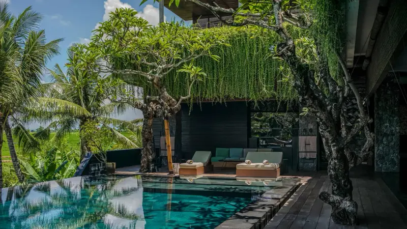 7 BR Rice-Terrace Infinity-Pool Villa Canggu, Canggu, Bali, Indonesia — photo 3 of 15