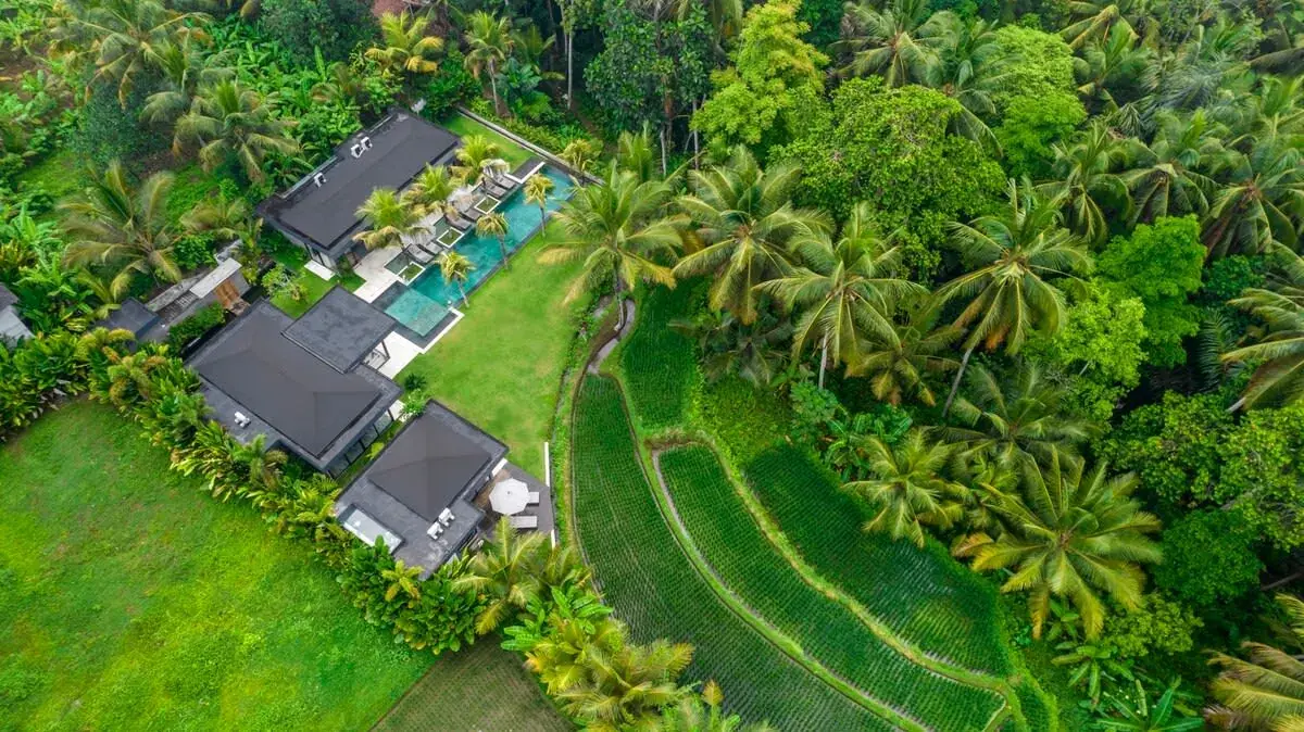 4 BR Rice-Field Tropical-Modern Villa Ubud — luxury 4-bedroom villa in Ubud, Bali, Indonesia