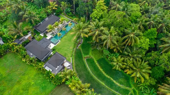 4 BR Rice-Field Tropical-Modern Villa Ubud — luxury villa in Ubud, Bali