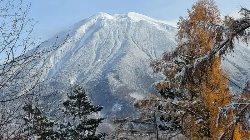 3 BR Mountain-View Timber Chalet Niseko, Niseko, Japan — photo 3 of 15