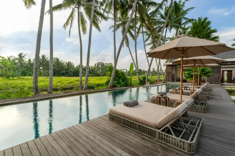 4 BR Rice-Field Infinity-Pool Villa Ubud, Ubud, Bali, Indonesia — photo 3 of 29
